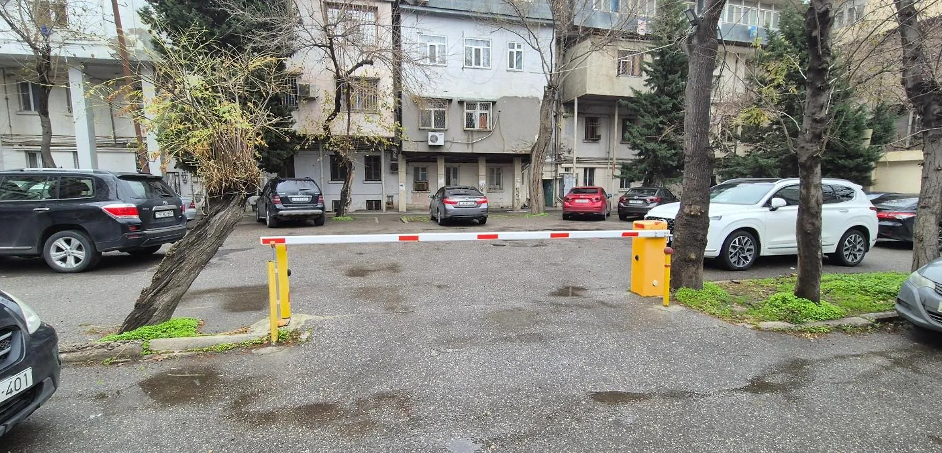 Eco Apartment In City Center Baku
